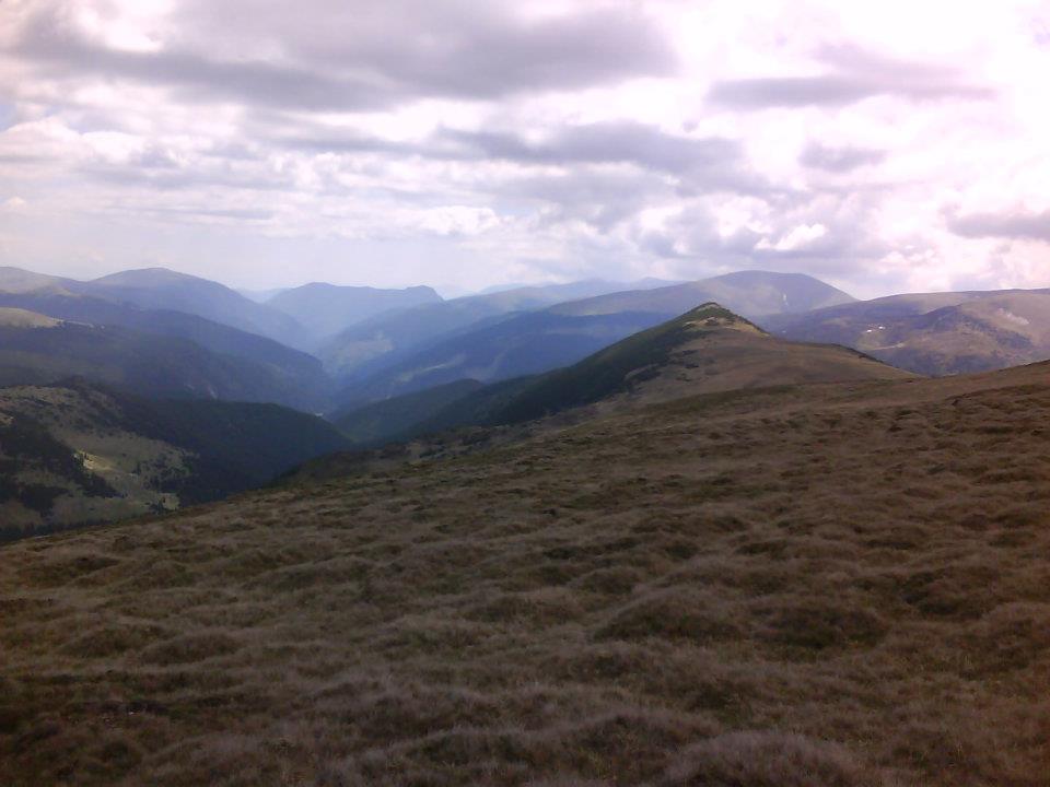transalpina